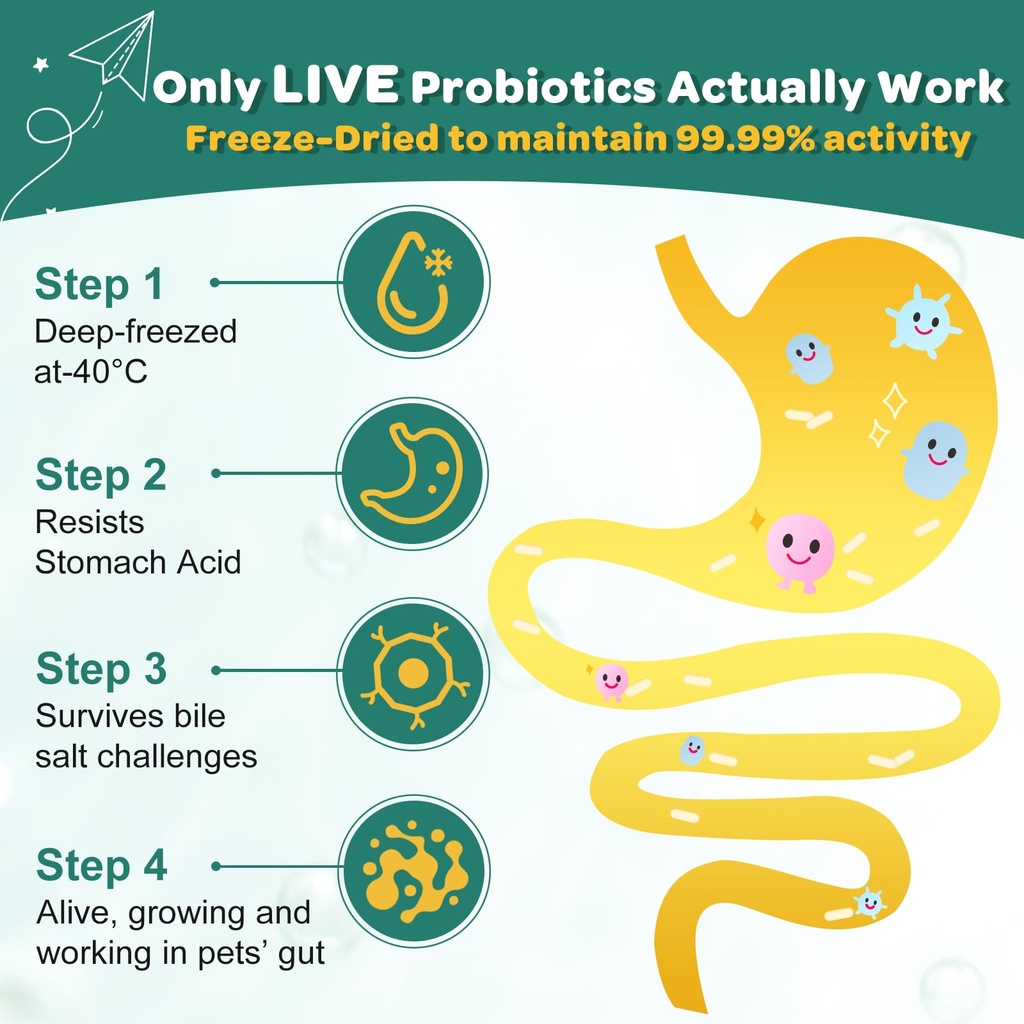 probiotics-for-dogs-dog-probiotics-with--4.jpg