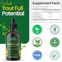 mila-miamor-mullein-drops-for-lungs-supp-4.jpg