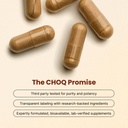 choq-shilajit-over-50-fulvic-acid-500-mg-2.jpg