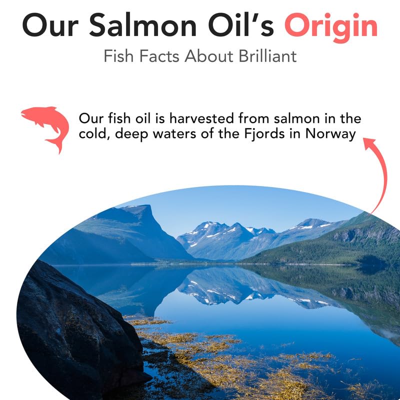 salmon-oil-for-dogs-healthy-skin-coat-al-6.jpg