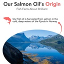 salmon-oil-for-dogs-healthy-skin-coat-al-6.jpg
