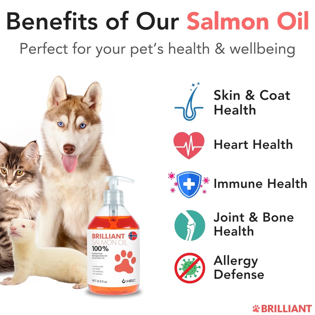 salmon-oil-for-dogs-healthy-skin-coat-al-2.jpg