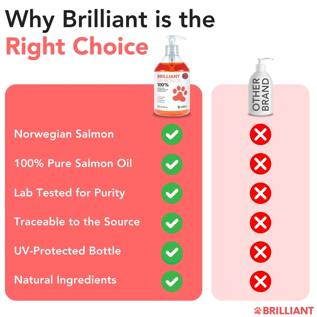 salmon-oil-for-dogs-healthy-skin-coat-al-5.jpg