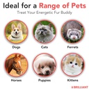 salmon-oil-for-dogs-healthy-skin-coat-al-4.jpg