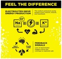 lmnts-lemonade-zero-sugar-electrolytes-d-4.jpg