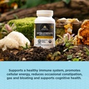 ancient-nutrition-regenerative-organic-c-3.jpg