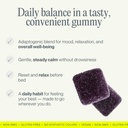 proxy-just-chill-stress-relief-gummies-d-4.jpg