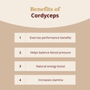 ks-mushroom-store-energy-booster-coffee--5.jpg