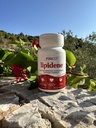 cholesterol-support-heart-health-supplem-2.jpg