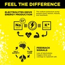 lmnt-zero-sugar-electrolytes-lemonade-dr-5.jpg