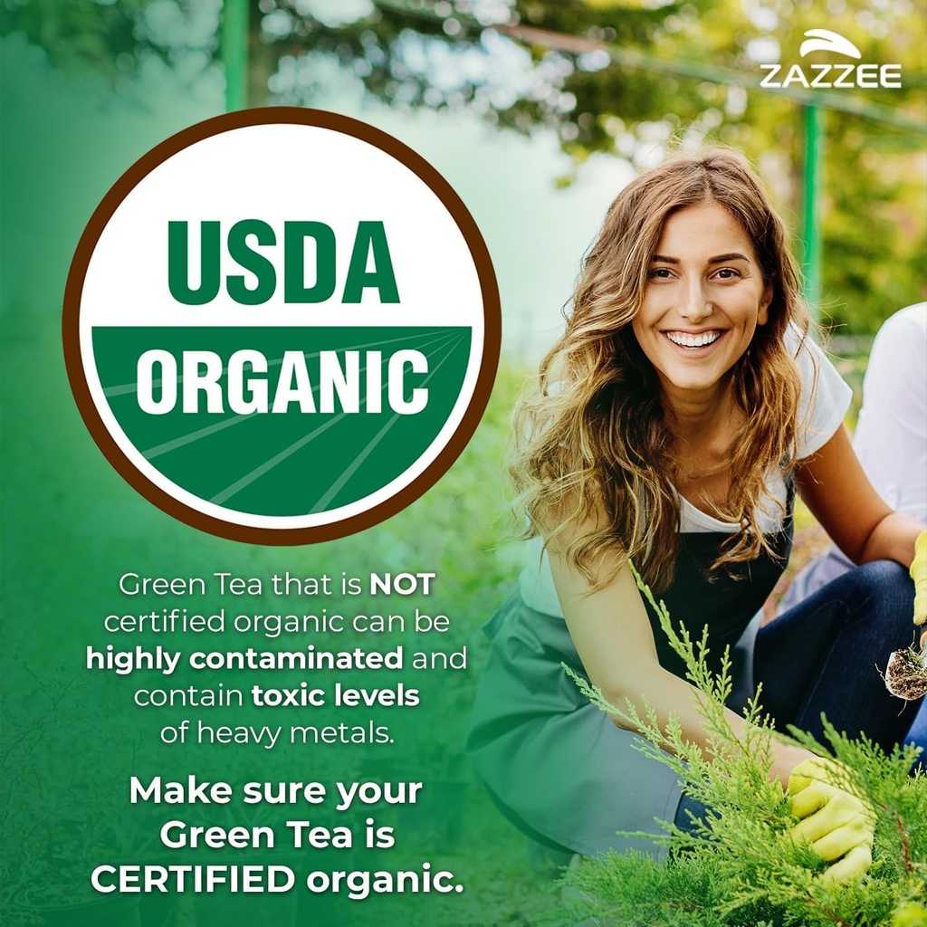 zazzee-organic-green-tea-gymnema-sylvest-6.jpg