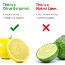bergamet-citrus-bergamot-supplement-170--3.jpg
