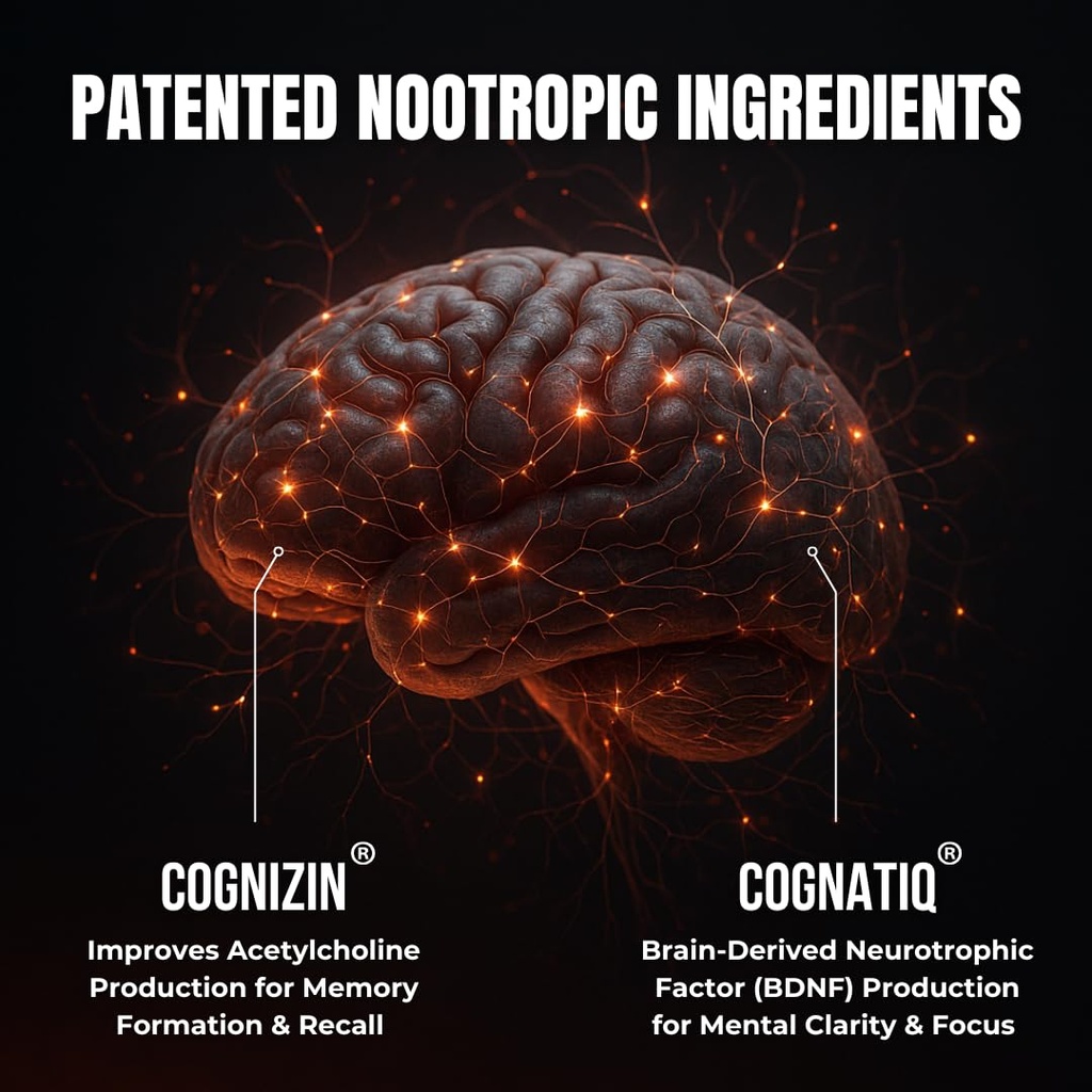 focus-think-nootropic-brain-supplement-b-6.jpg