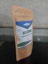 belladonna-4.jpg