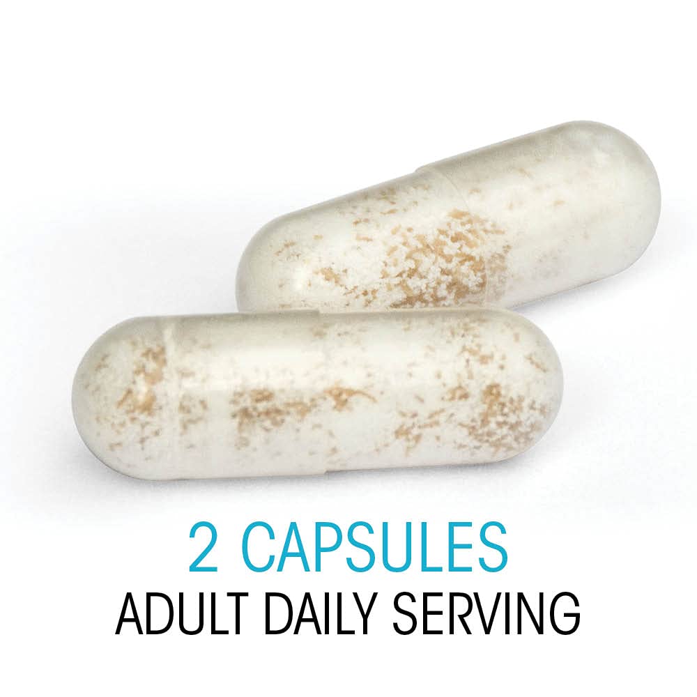 silver-fern-brand-family-probiotics-ulti-4.jpg