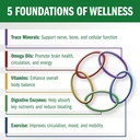bio-35-100ct-daily-multivitamin-for-men--3.jpg