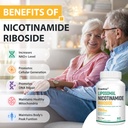 orgabay-liposomal-nicotinamide-riboside--6.jpg