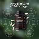 third-party-tested-nad-nr-supplement-opt-5.jpg