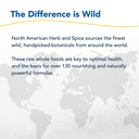 north-american-herb-spice-herbal-zzzs-60-6.jpg
