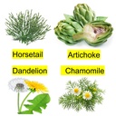liver-support-cleanse-fatty-liver-purifi-3.jpg
