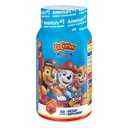 l-il-critters-kids-fiber-gummy-digestive-5.jpg