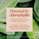 nature-s-way-chlorofresh-chlorophyll-con-4.jpg