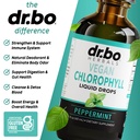 chlorophyll-liquid-drops-body-detox-vega-4.jpg