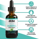 chlorophyll-liquid-drops-body-detox-vega-2.jpg