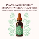 herbs-etc-chloroxygen-chlorophyll-concen-2.jpg