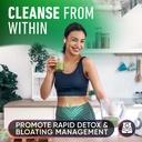 alpha-flow-chlorophyll-liquid-drops-6000-2.jpg