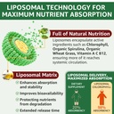 organic-chlorophyll-liquid-drops-liposom-3.jpg