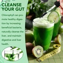liquid-chlorophyll-drops-chlorophyll-liq-5.jpg