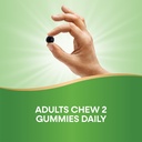 nature-s-way-chlorofresh-chlorophyll-gum-6.jpg