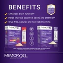 memoryxl-magnesium-l-threonate-brain-sup-4.jpg