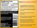 crocin-rich-plus-high-potency-brain-supp-3.jpg
