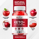 2-pack-bio-fuel-keto-acv-gummies-advance-5.jpg
