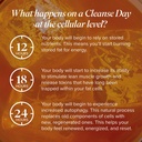 isagenix-cleanse-for-life-detox-system-s-5.jpg