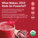 terra-kai-organics-juce-reds-organic-sup-4.jpg