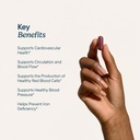 santo-remedio-circulacion-plus-capsules--3.jpg