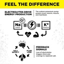 lmnt-sparkling-electrolyte-drink-lemonad-3.jpg