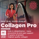 gnarly-nutrition-collagen-peptides-gnarl-3.jpg