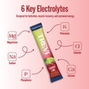 trevi-everyday-sugar-free-electrolytes-e-3.jpg