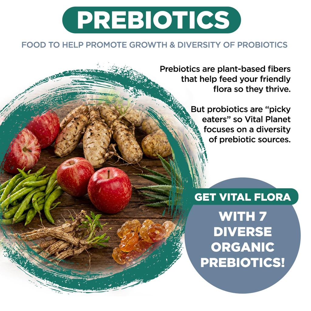 vital-planet-vital-flora-probiotics-for--5.jpg