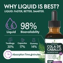 horsetail-herb-cola-de-caballo-hierba-dr-5.jpg
