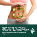 horsetail-herb-cola-de-caballo-hierba-dr-3.jpg