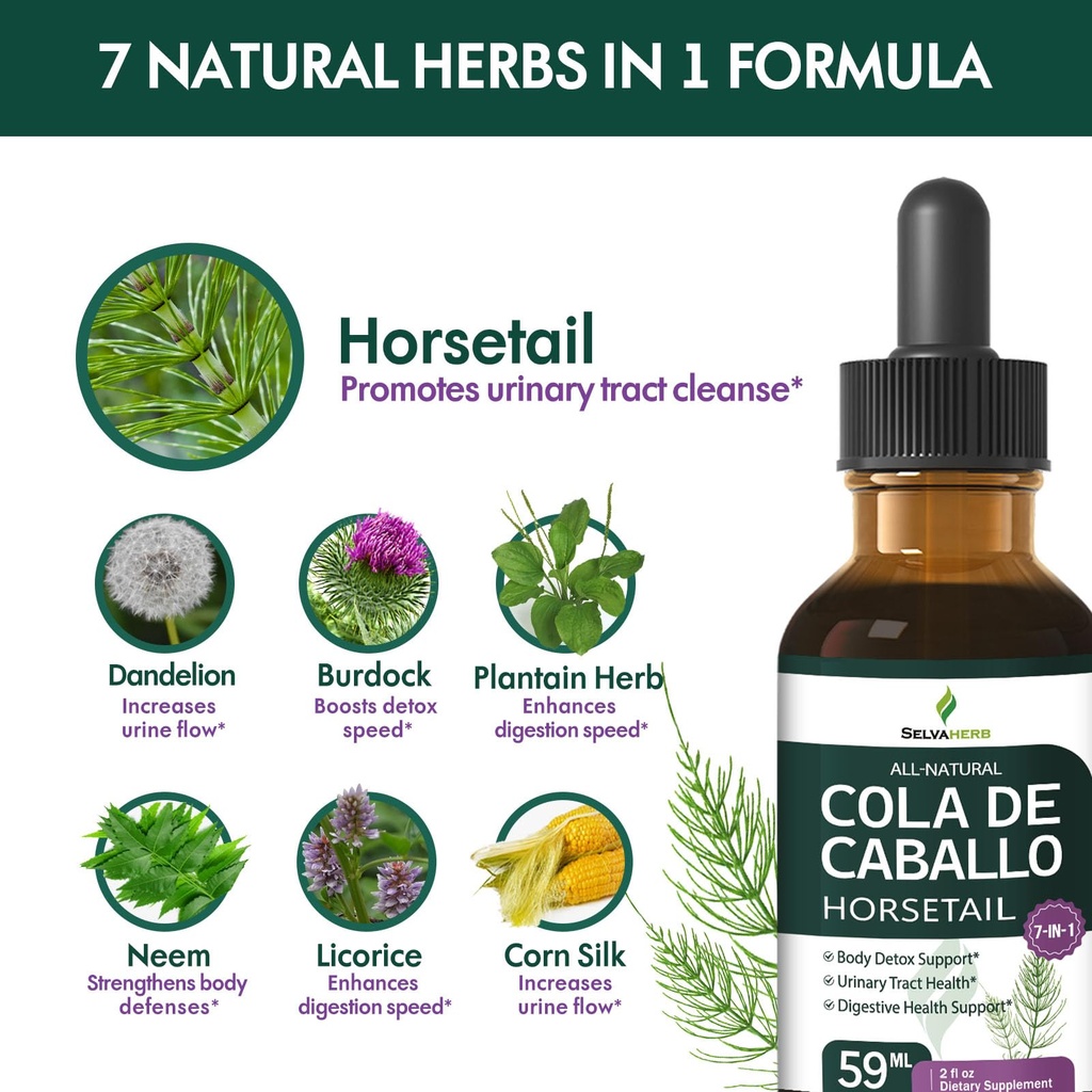 horsetail-herb-cola-de-caballo-hierba-dr-4.jpg