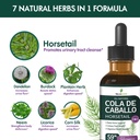 horsetail-herb-cola-de-caballo-hierba-dr-4.jpg