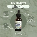 earthley-wellness-vita-c-a-natural-sourc-3.jpg