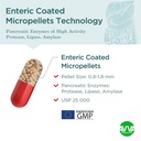 avva-pharm-pancreatic-enzymes-25-000-usp-4.jpg
