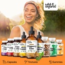 wild-organic-slippery-elm-liquid-drops-l-5.jpg